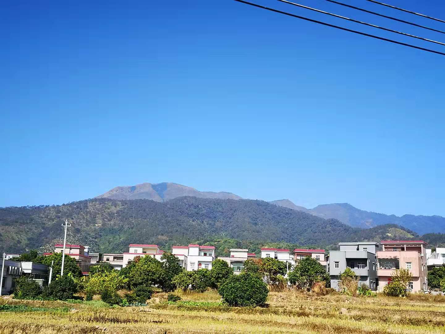 莲塘村场.jpg